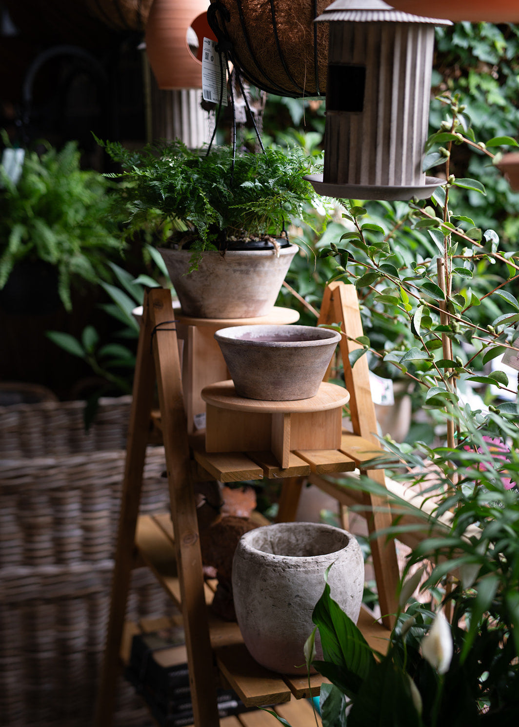Pots & Planters