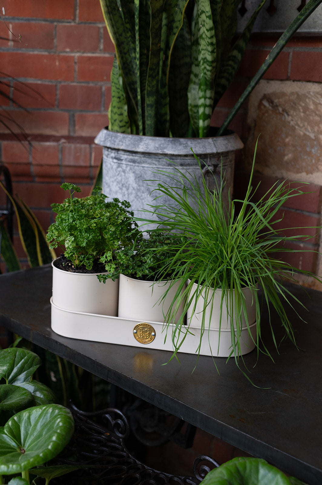 Sophie Conran - Herb Pots Buttermilk