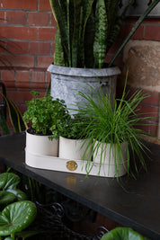 Sophie Conran - Herb Pots Buttermilk