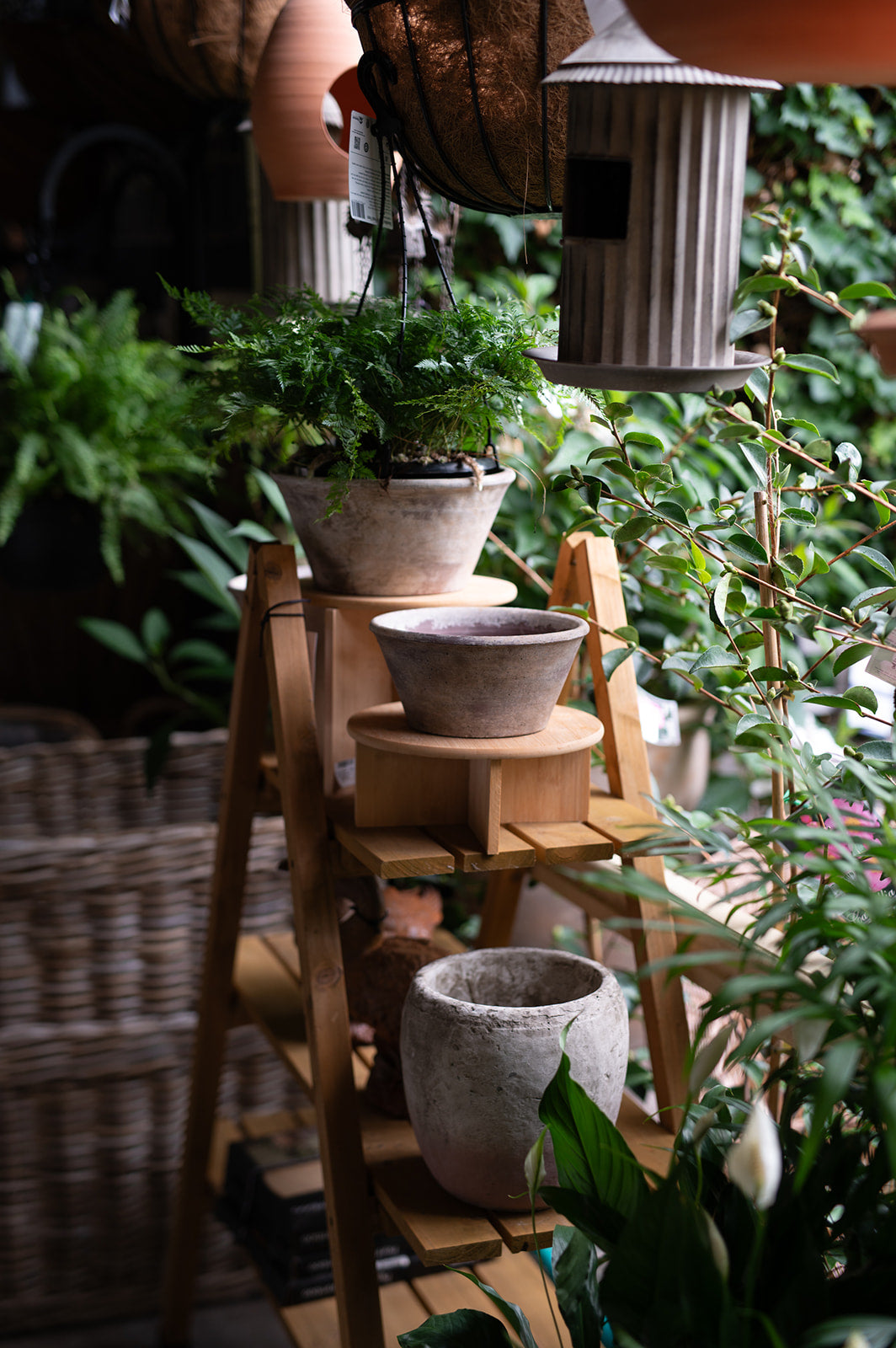Pots