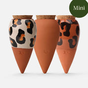Box Trio Mini Ollas - The Leopards