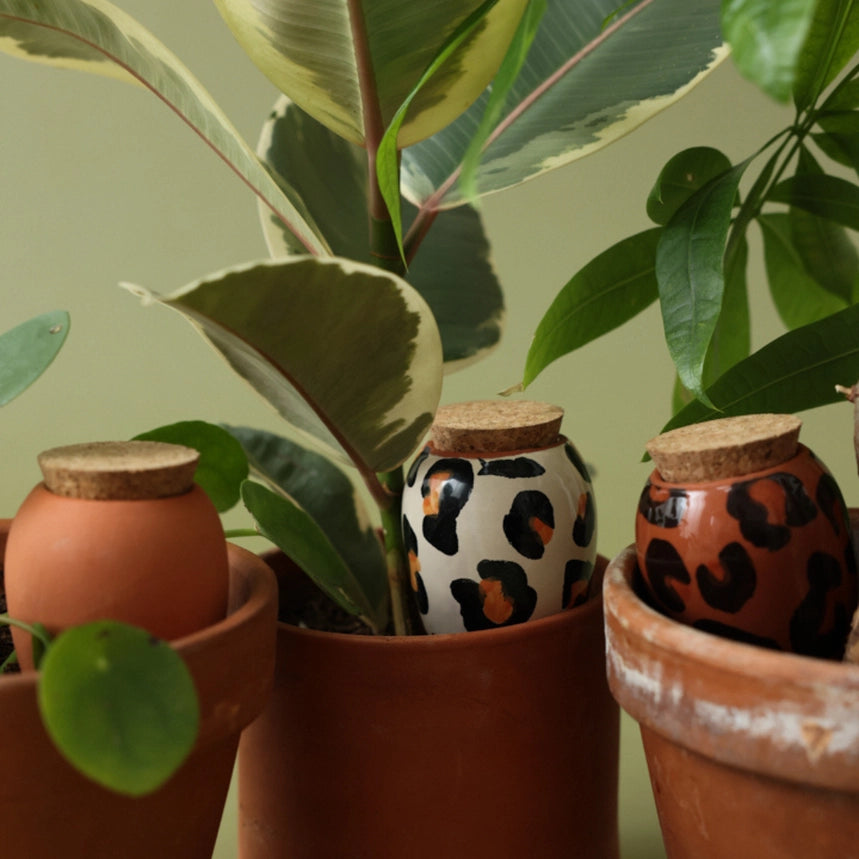 BoxTrioMiniOllas-TheLeopardsSKUOLL-MINI-TRIO-RDLEO2.webp