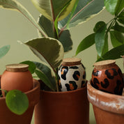 Box Trio Mini Ollas - The Leopards