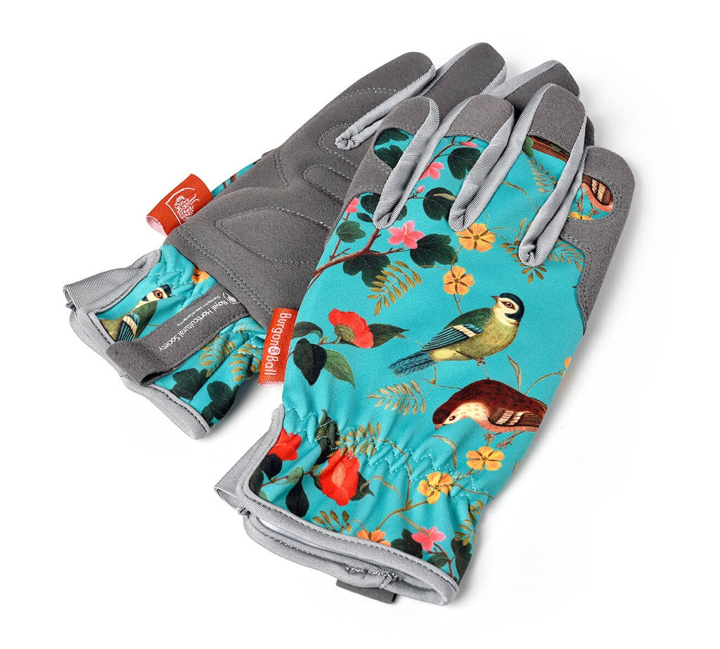Flora-Fauna-Gloves.jpg