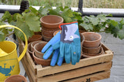 Nat Trust Children's Hedgehog Gloves