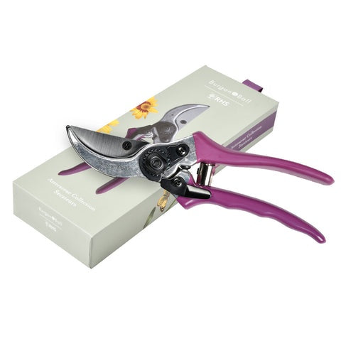 GRH-SCBOXASTER-RHS-Gift-Secateurs-Asteraceae.jpg