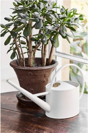 Sophie Conran - Indoor Can Buttermilk