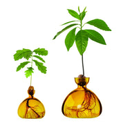 Ilex Studio Acorn Vase