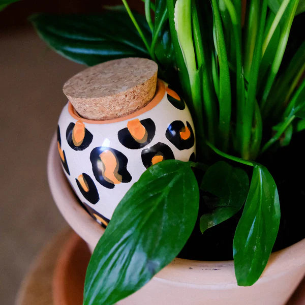Pepin Olla Leopard