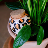 Pepin Olla Leopard