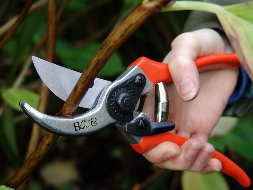 RHS-Bypass-Secateur-spare-spring-blade-03.jpg