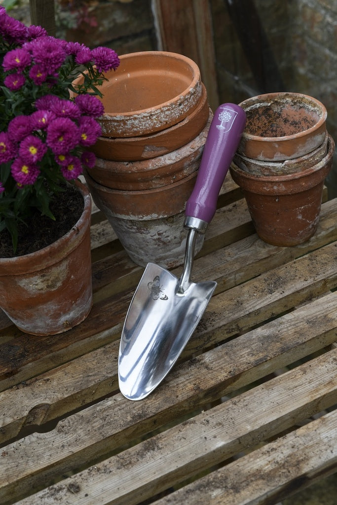 RHS Gift Trowel & Fork Asteraceae