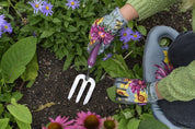 RHS Gift Trowel & Fork Asteraceae