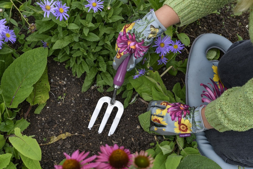 RHS Gift Trowel & Fork Asteraceae