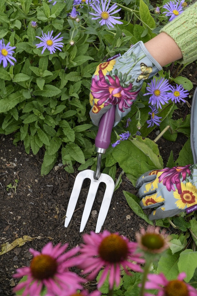 RHS Gift Trowel & Fork Asteraceae