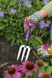 RHS Gift Trowel & Fork Asteraceae