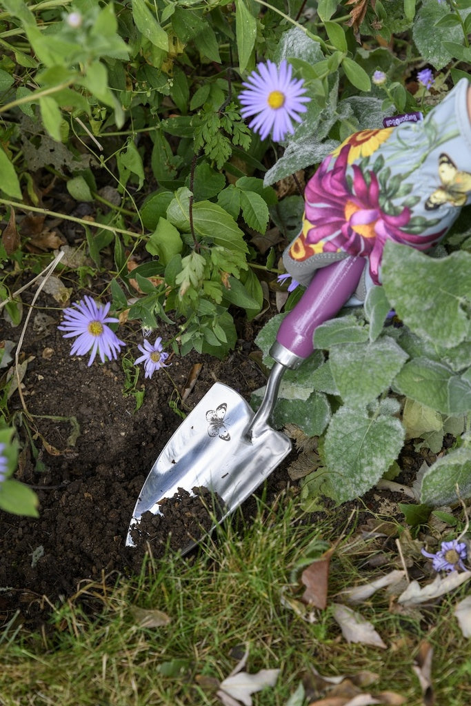RHS Gift Trowel & Fork Asteraceae