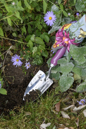 RHS Gift Trowel & Fork Asteraceae