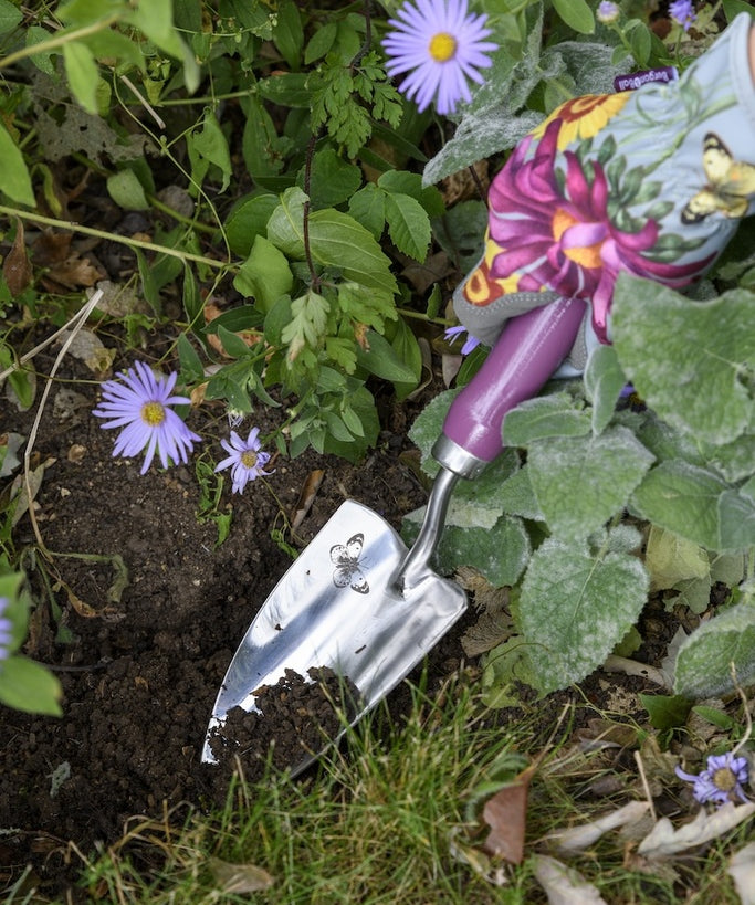 RHSGiftTrowel_ForkAsteraceae_6.jpg