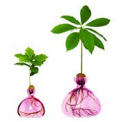 Ilex Studio Acorn Vase
