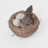 Springtime Nest